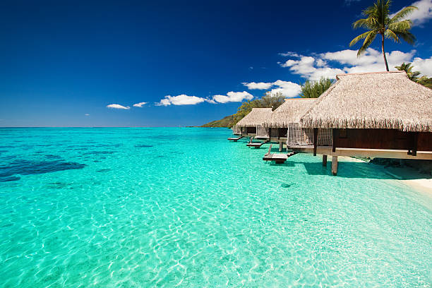 istock Villas on the tropical beach with steps into water 177032867