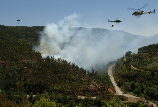 Helicopters Fighting Wild Fires