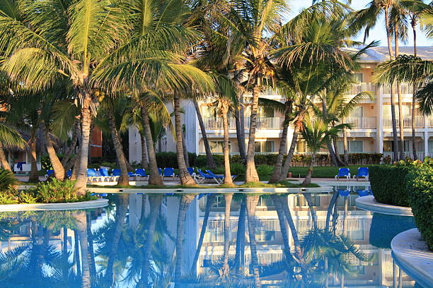 istock Palms near the pool 177033380