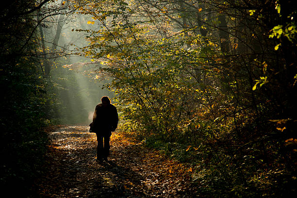 Man silhouette walking on the autumn forest road in the light of the morning sunlight.
