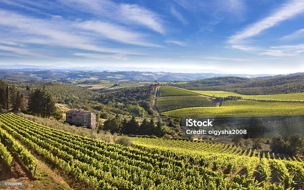 Paisagem Toscana - Royalty-free Toscana - Itália Foto de stock