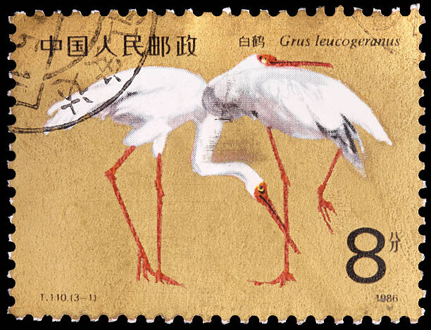 istock An 8-fen stamp printed in China 177033899