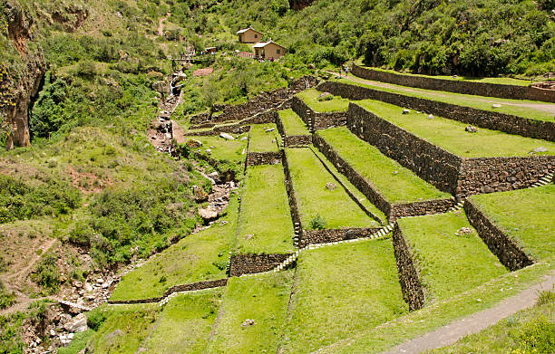 istock Agricultural terraces at the Inca site Pisac, Peru 177034276