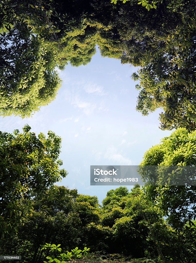 Bäume - Lizenzfrei Natur Stock-Foto