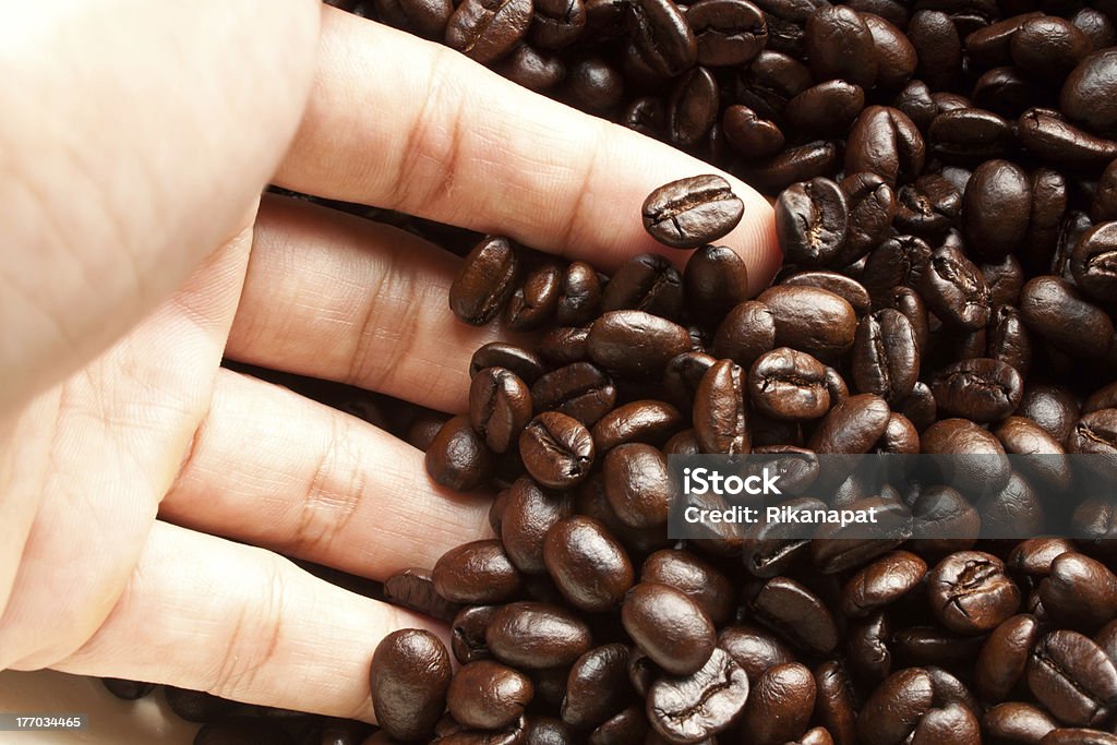 Hands with coffee beans Coffee Beans and a hand African Ethnicity Stock Photo