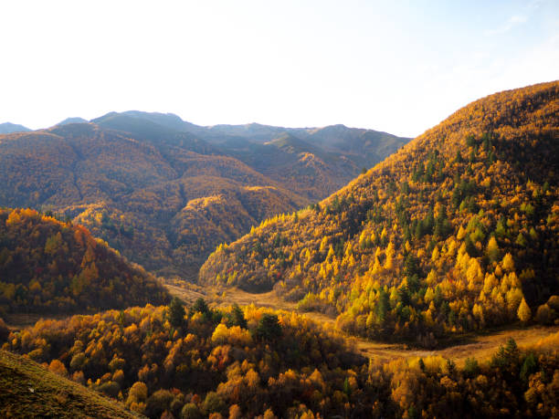 istock Landscape of Georgia 1770348425