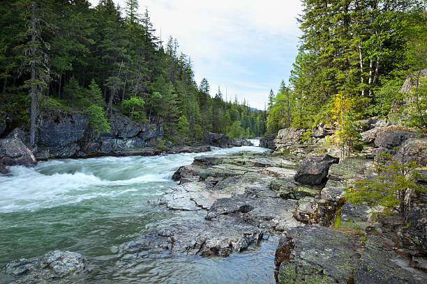 istock Avalanche Creek in Glacier National Park, Montana 177035222