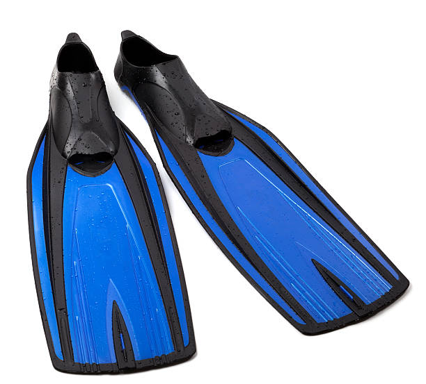istock Swim fins on white background 177035359