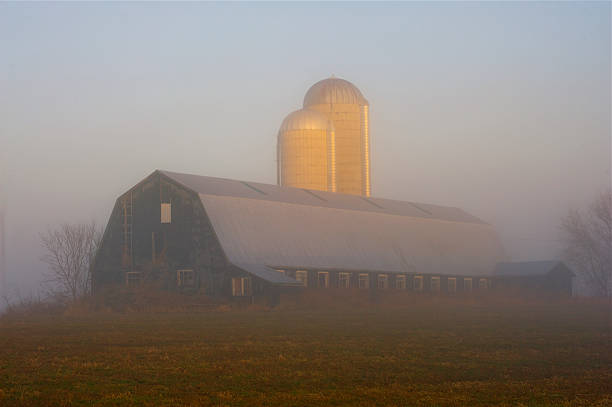 Foggy Morning on the farm stock photo