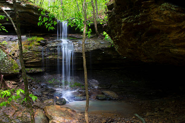 Góry Ozark Stream – zdjęcie