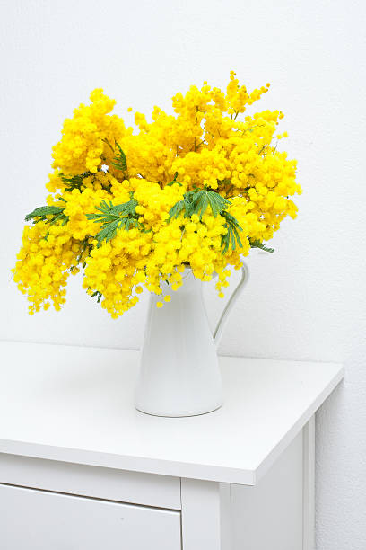 istock mimosa in vase on white table 177036949