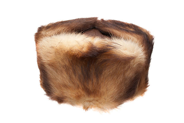 istock Cap from fur of a muskrat 177037817