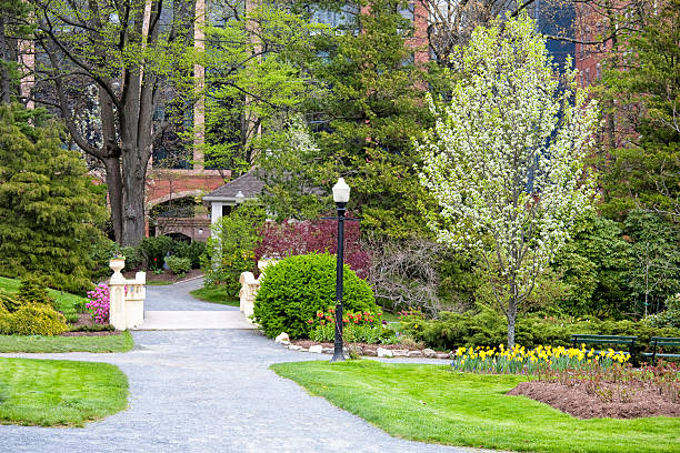 シティの公園 - landscaped spring canada footpath ストックフォトと画像