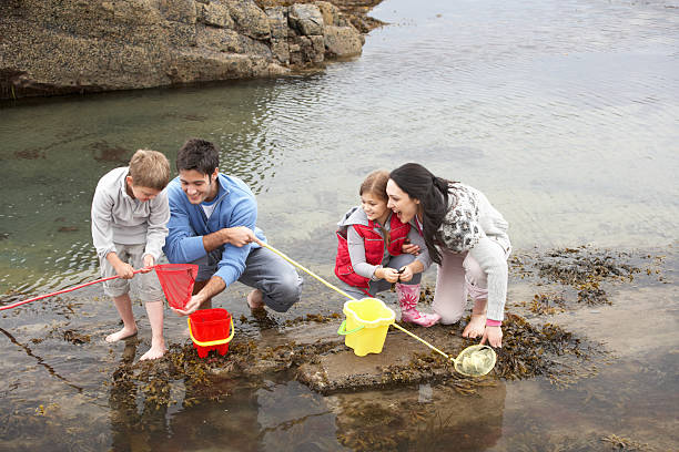 istock Young family at beach collecting shells 177038665