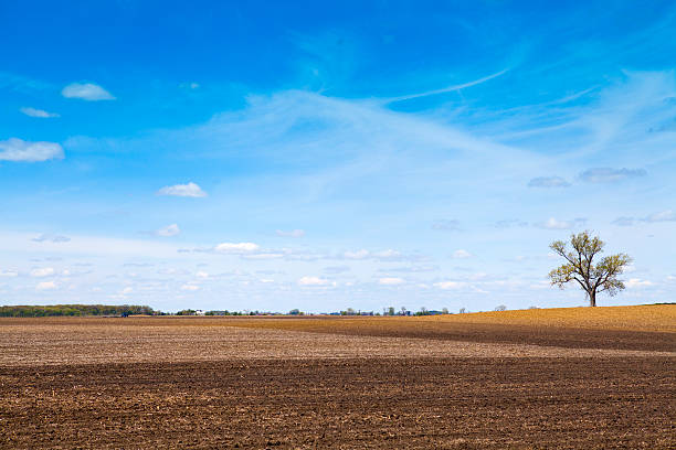istock American Country 177039309