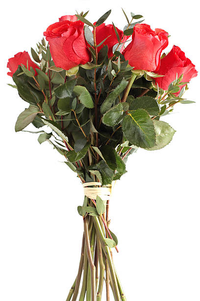 Rose Rosse - foto stock