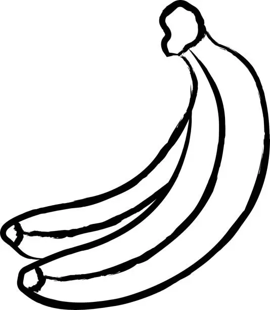 Vector illustration of Banana hand drawn vector illustration
