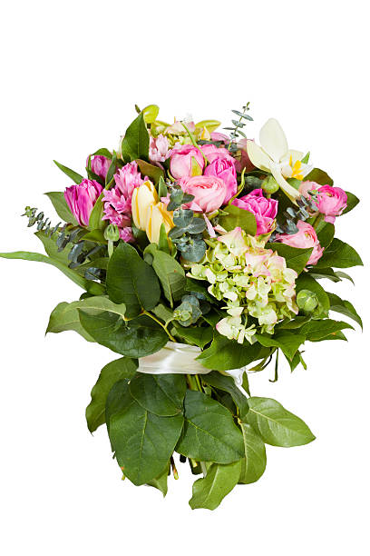istock flowers isolated on white background 177039897