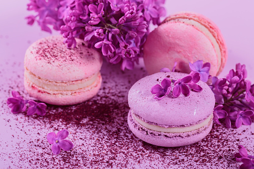 Close up of Pastel colored sweet french macaroons with lilac flowers and splash of dry blueberry powder on pink background. Beautiful composition for bakery and pastry shop