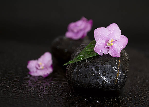 pierres noir avec fleurs feuilles et de gouttes d'eau sur le fond. - massaging spa treatment stone massage therapist photos et images de collection