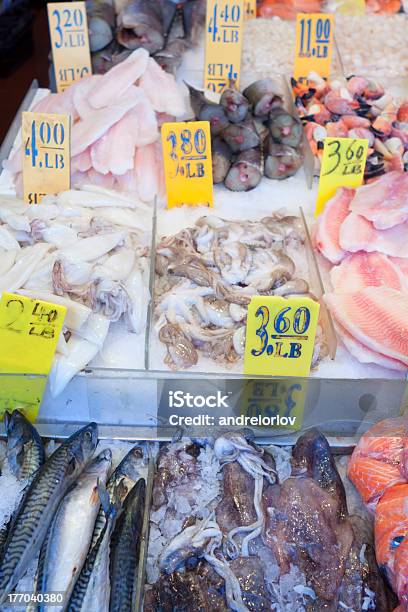 Nova Captura De Peixe - Fotografias de stock e mais imagens de Alimentação Saudável - Alimentação Saudável, Animal, Captura de Peixe