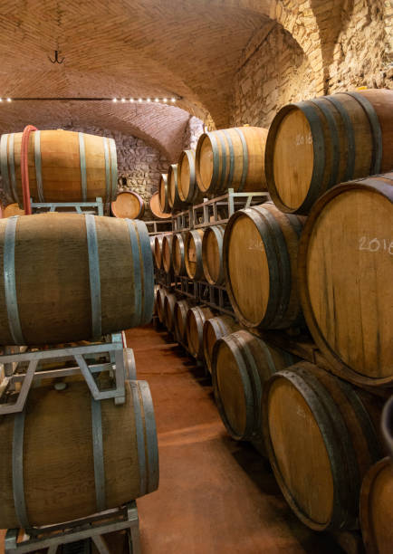 istock Wine wooden barrels in cellar 1770407716