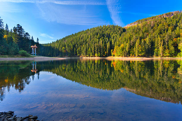 istock Beautiful summer landscape in the mountain lake. 177041097
