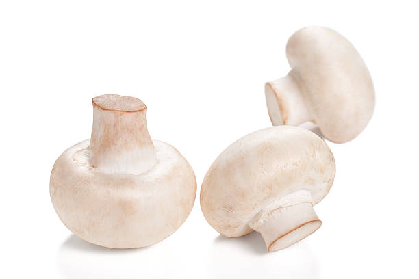 istock Fresh Mushrooms champignon Isolated on a white background 177041122