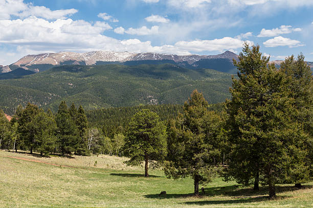 Colorado Mountain Scenic