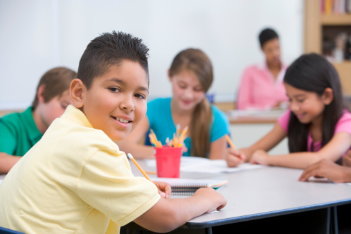 Male elementary school pupil in classroom looking at camera