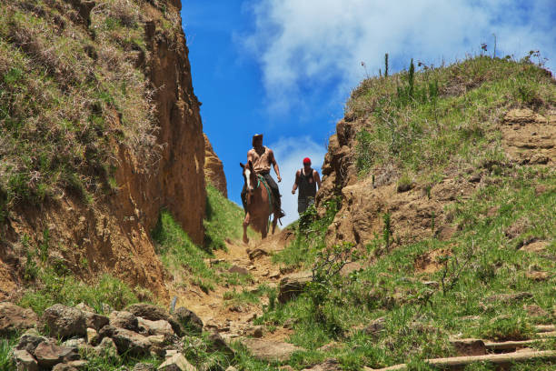 rapa nui. jeździec w rano raraku na wyspie wielkanocnej, chile - moai statue statue ancient past zdjęcia i obrazy z banku zdjęć