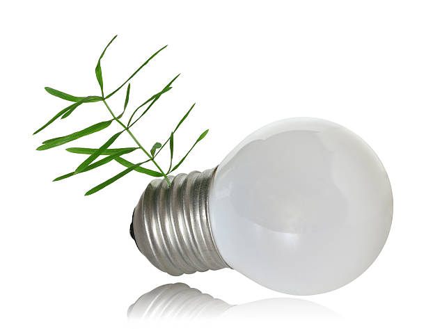 istock sprout growing out of the light bulb base 177042222
