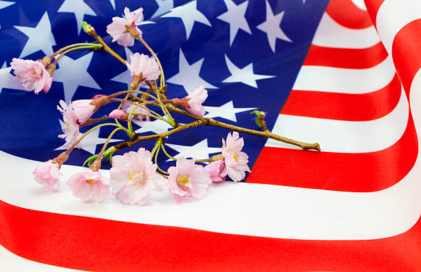 istock Cherry blossom sprig on American flag 177042527