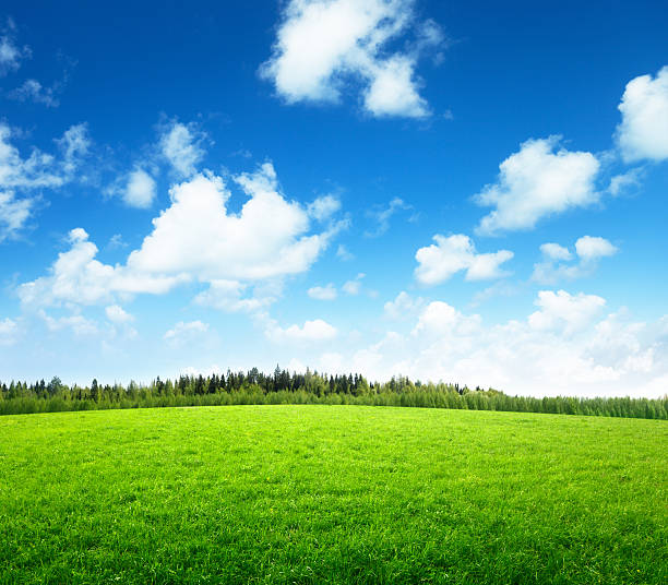istock green field and sunny day 177042784