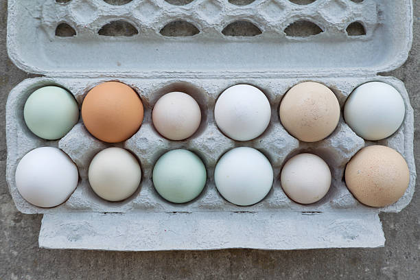 Dozens of Eggs stock photo