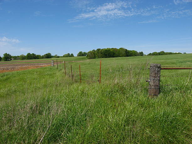 istock Rural landscape with fence, grass and trees 177043412