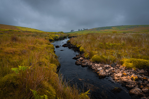 The river plym winding through the desolate landscape of dartmoor