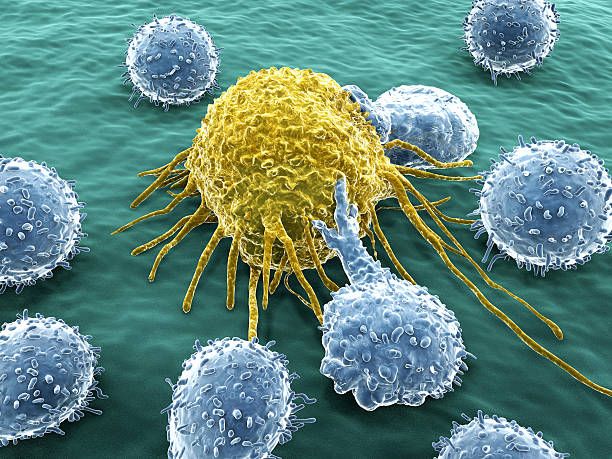 Cancer cell and Lymphocytes T-lymphocytes attack a migrating cancer cell. t cell photos stock pictures, royalty-free photos & images