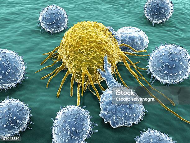 Foto de Célula Cancerígena E Lymphocytes e mais fotos de stock de Célula Cancerígena - Célula Cancerígena, Linfócito, Célula T
