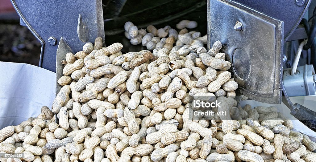 peanut peanut at market Abundance Stock Photo