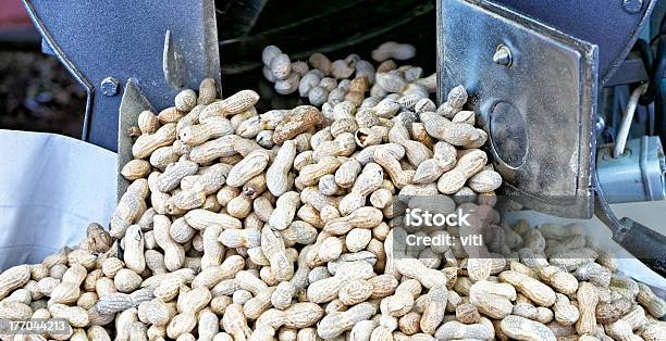 Peanut Stock Photo - Download Image Now - Abundance, Arachis, Backgrounds