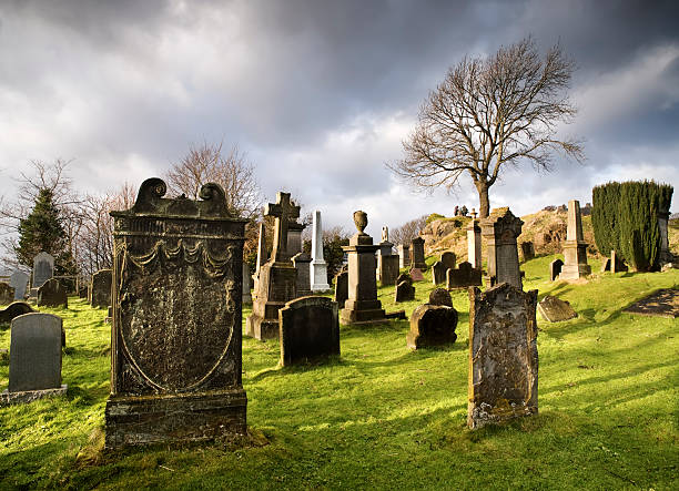 istock Cemetery with tombstones and a tree in the background 177044266