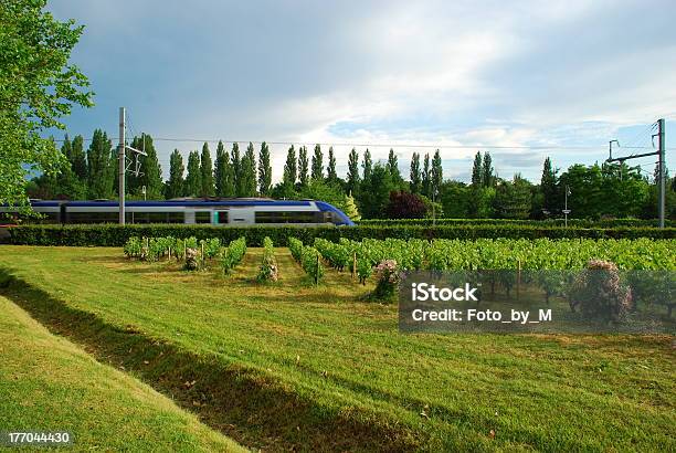 Zug In Bewegung Durch Grüne Landschaft Frankreich Europa Stockfoto und mehr Bilder von Eisenbahn