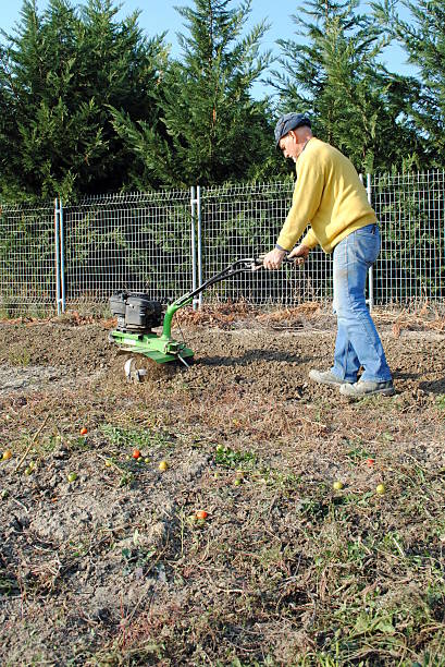 istock Middle age man with a rototiller 177044620