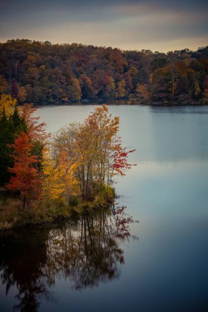 istock a beautiful river surrounded by lots of trees with their colors changing 1770453623