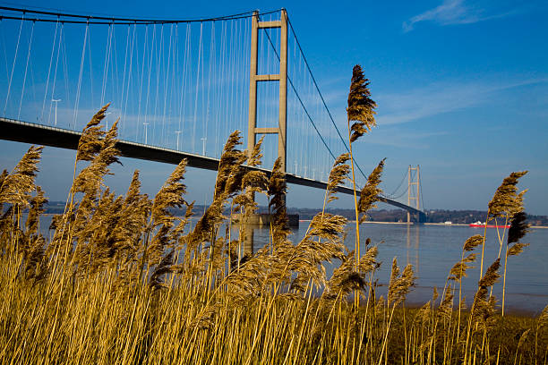 istock Humber Suspension Bridge and Grass 177046119