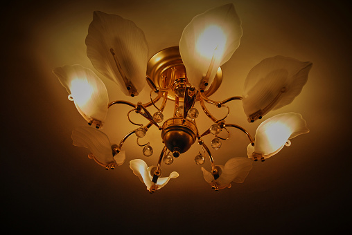 Beautiful chandelier for indoor lighting. Ceiling chandelier for 8 shades with three light modes.