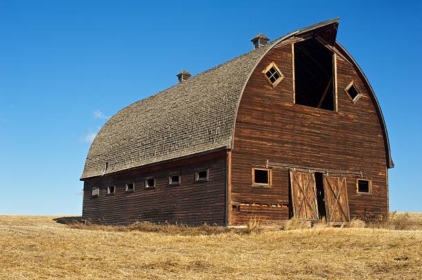 istock old abandoned farm building: wooden barn 177046586