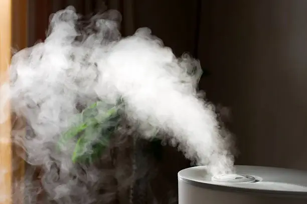 Photo of Humidifier