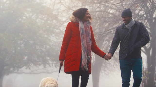 Couple Wearing Coats And Scarves Walking Pet Golden Retriever Dog In Misty Autumn Countryside